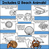 Beach Mini Book for Early Readers: Beach Animals