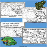 Amphibians Mini Book for Early Readers: Animal Groups and Classifications