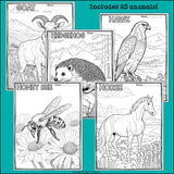 Prairie Animals Research Posters, Coloring Pages - Animal Research Project