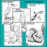 Australian Animals Research Posters, Coloring Pages - Animal Research Project