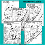 Australian Animals Research Posters, Coloring Pages - Animal Research Project