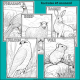 Prairie Animals Research Posters, Coloring Pages - Animal Research Project