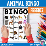 Animal Bingo Cards for Early Readers - Animals Bingo FREEBIE