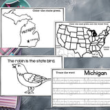 Michigan Mini Book for Early Readers - A State Study