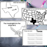 Texas Mini Book for Early Readers - A State Study