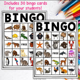 Animal Bingo Cards for Early Readers - Animals Bingo FREEBIE