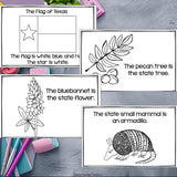 Texas Mini Book for Early Readers - A State Study
