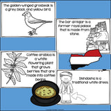 Yemen Mini Book for Early Readers - A Country Study