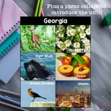Georgia Mini Book for Early Readers - A State Study