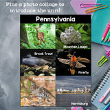 Pennsylvania Mini Book for Early Readers - A State Study