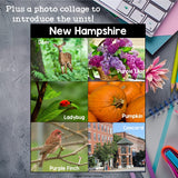 New Hampshire Mini Book for Early Readers - A State Study