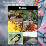 Maine Mini Book for Early Readers - A State Study