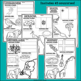 Europe Countries Research Posters - European Country Research Project