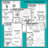 Europe Countries Research Posters - European Country Research Project