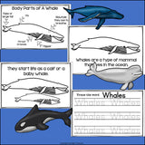 Whales Mini Book for Early Readers