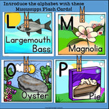 Mississippi Flash Cards