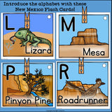 New Mexico Flash Cards