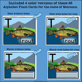 Montana Flash Cards