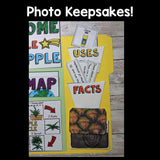 Pineapple Lapbook for Early Learners - Plant Study