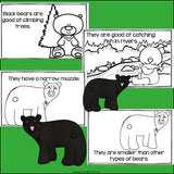 Black Bears Mini Book for Early Readers