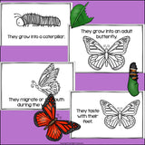Butterflies Mini Book for Early Readers
