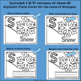 Michigan Flash Cards