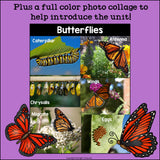 Butterflies Mini Book for Early Readers
