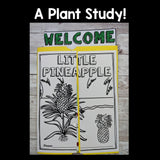 Pineapple Lapbook for Early Learners - Plant Study