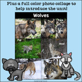 Wolves Mini Book for Early Readers