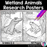Wetland Animals Research Posters, Coloring Pages - Animal Research Project