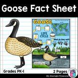 Goose Fact Sheets for Early Readers - Animal Study, Geese