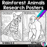 Rainforest Animals Research Posters, Coloring Pages - Animal Research Project