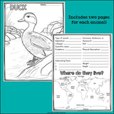 Wetland Animals Research Posters, Coloring Pages - Animal Research Project
