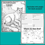 Mountain Animals Research Posters, Coloring Pages - Animal Research Project