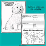 Dog Breeds Research Posters, Coloring Pages - Animal Research Project