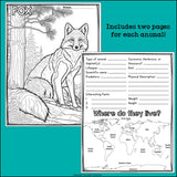 Woodland Animals Research Posters, Coloring Pages - Animal Research Project