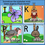 Alphabet Flash Cards for Early Readers - Country of Algeria