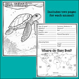 Ocean Animals Research Posters, Coloring Pages - Animal Research Project