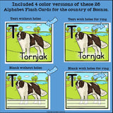 Alphabet Flash Cards for Early Readers - Country of Bosnia and Herzegovina