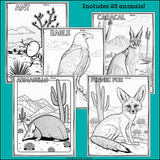 Desert Animals Research Posters, Coloring Pages - Animal Research Project