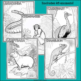 Rainforest Animals Research Posters, Coloring Pages - Animal Research Project