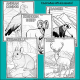 Mountain Animals Research Posters, Coloring Pages - Animal Research Project