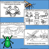 Arthropods Mini Book for Early Readers: Animal Groups and Classifications