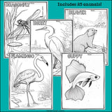 Wetland Animals Research Posters, Coloring Pages - Animal Research Project