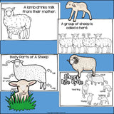 Sheep Mini Book for Early Readers - Animal Study