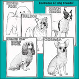 Dog Breeds Research Posters, Coloring Pages - Animal Research Project