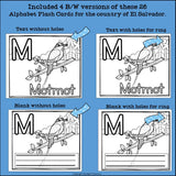Alphabet Flash Cards for Early Readers - Country of El Salvador