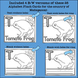 Alphabet Flash Cards for Early Readers - Country of Madagascar