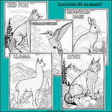 Mountain Animals Research Posters, Coloring Pages - Animal Research Project