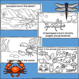 Arthropods Mini Book for Early Readers: Animal Groups and Classifications